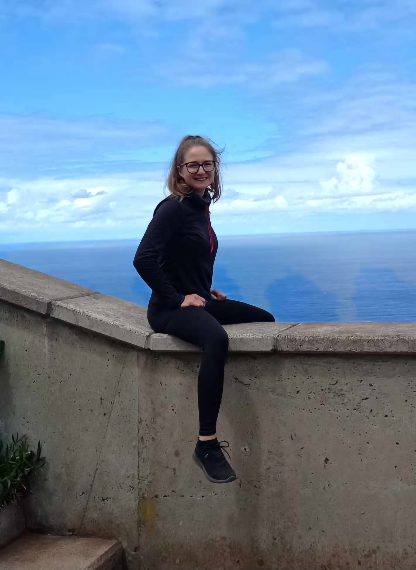 sedim madeira